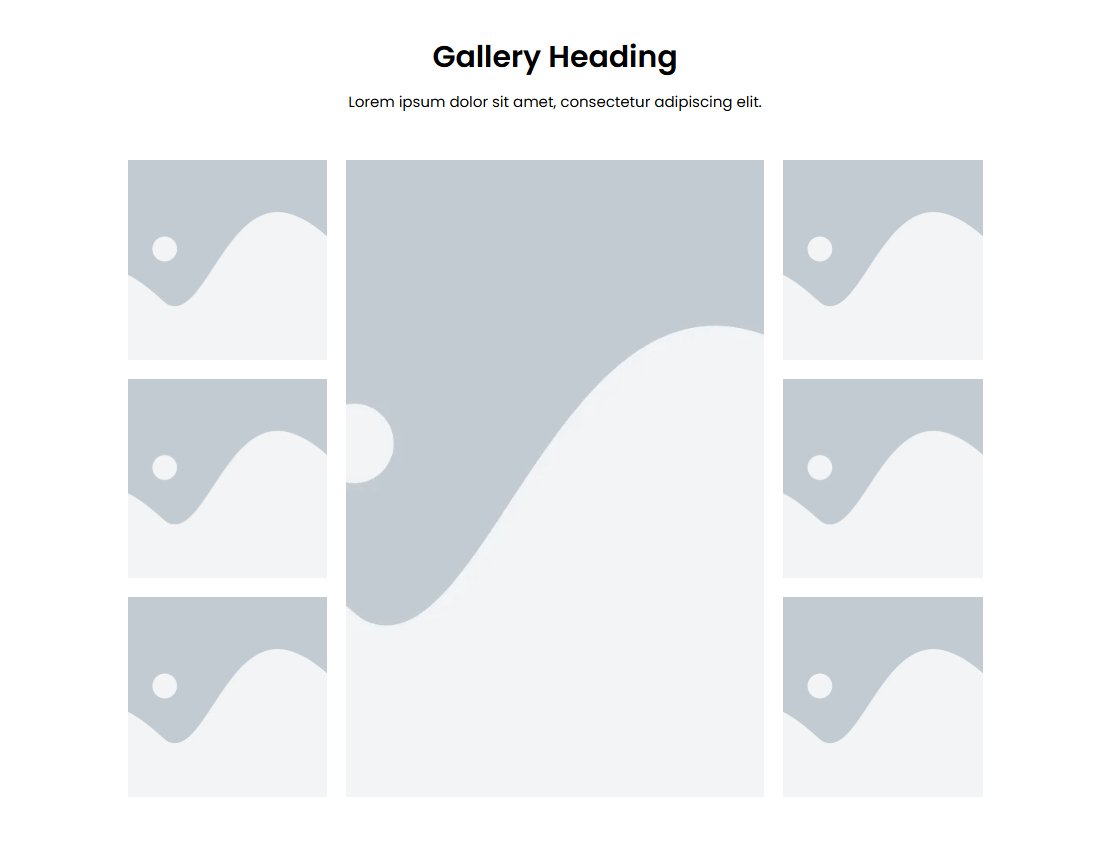 gallery 6